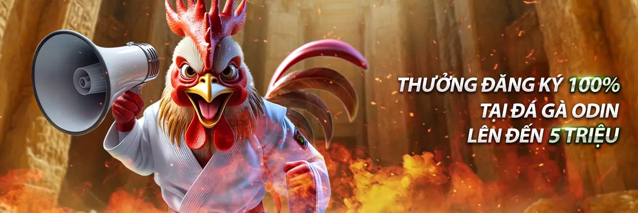 Hình ảnh một trận đấu đá gà kịch tính tại đề dàn 38